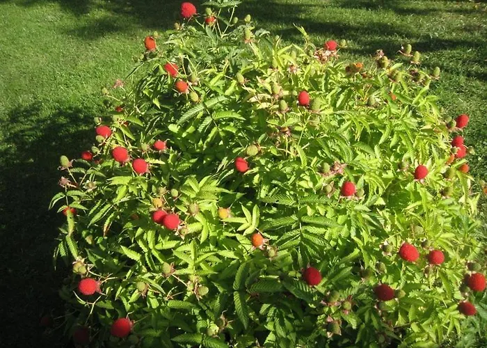 K777 Luxury 2 Bedroom *